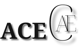 株式会社ACE